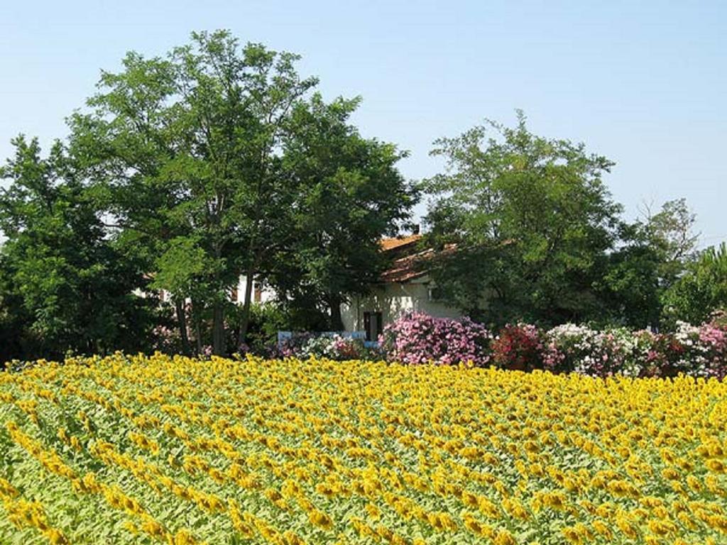 Appartamenti Il Granaio 마리나디그로세토 외부 사진